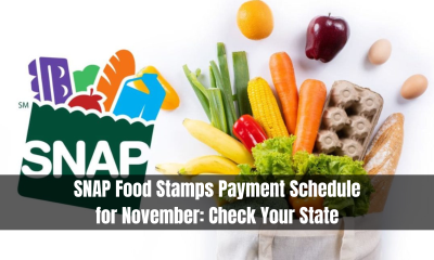 SNAP Food Stamps Payment Schedule for November: Check Your State