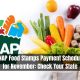 SNAP Food Stamps Payment Schedule for November: Check Your State