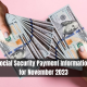 Social Security Payment Information for November 2023