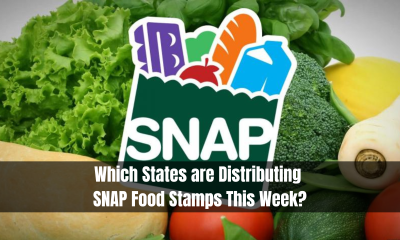 Which States are Distributing SNAP Food Stamps This Week?