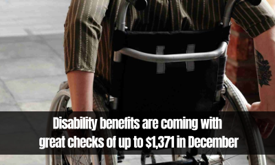 Disability Benefits Are Coming With Great Checks of up to $1,371 in December