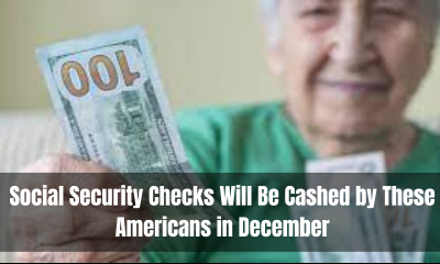 Social Security Checks Will Be Cashed by These Americans in December