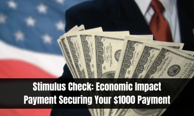 Stimulus Check: Economic Impact Payment Securing Your $1000 Payment