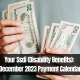 Your Ssdi (Disability Benefits): December 2023 Payment Calendar