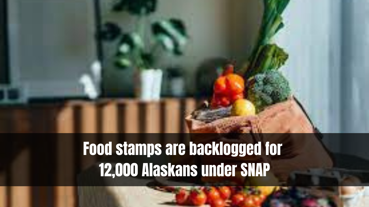 Food stamps are backlogged for 12,000 Alaskans under SNAP