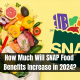 How Much Will SNAP Food Benefits Increase in 2024?