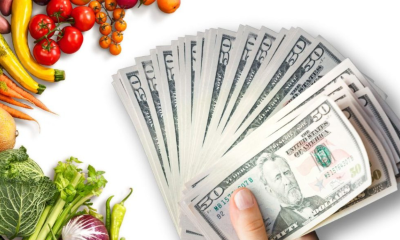 Payment for Snap Benefits in January 2024 | When Will It Arrive and How Much Will You Receive?