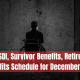 SSI, SSDI, Survivor Benefits, Retirement Benefits Schedule for December 2023