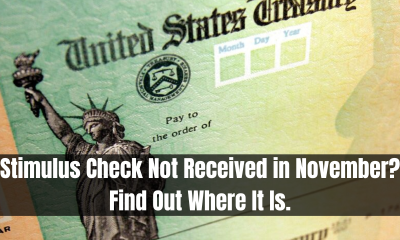 Stimulus Check Not Received in November? Find Out Where It Is