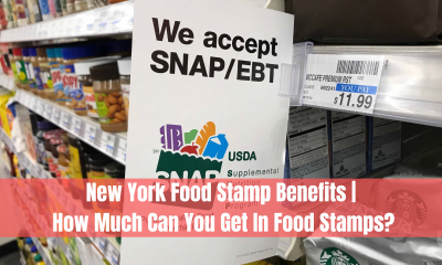 New York Food Stamp Benefits | How Much Can You Get In Food Stamps?