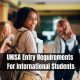 UNISA Entry Requirements For International Students