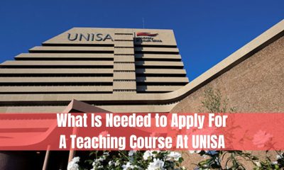 What Is Needed to Apply For A Teaching Course At UNISA