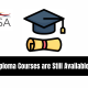 Which Diploma Courses are Still Available at UNISA