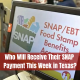 Who Will Receive Their SNAP Payment This Week in Texas?