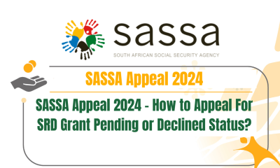 SASSA Appeal 2024 - How to Appeal For SRD Grant Pending or Declined Status?