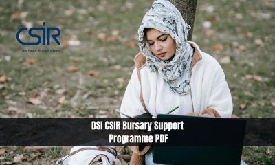 DSI CSIR Bursary Support Programme PDF