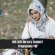 DSI CSIR Bursary Support Programme PDF