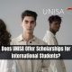 Does UNISA Offer Scholarships for International Students?