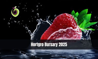 Hortgro Bursary 2025