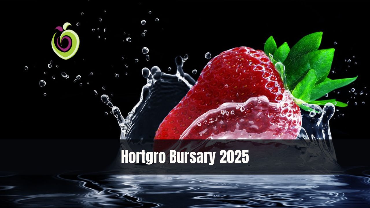 Hortgro Bursary 2025