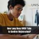 How Long Does UNISA Take to Confirm Registration?