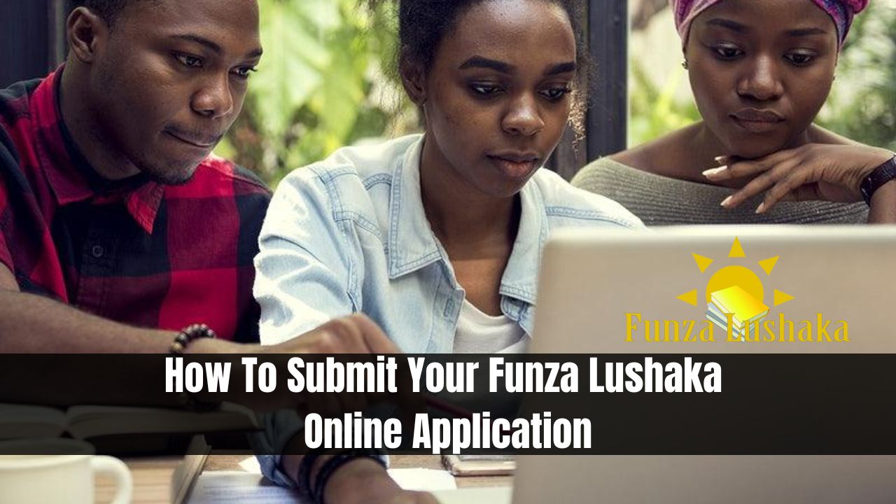 How To Submit Your Funza Lushaka Online Application