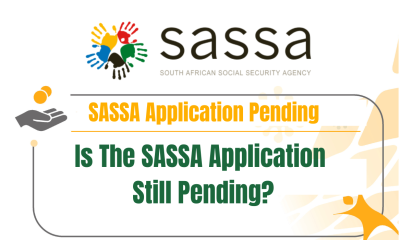 Is The SASSA Application Still Pending? See Steps to Solve It