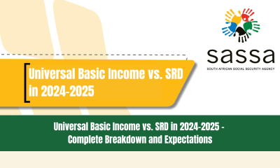 Universal Basic Income vs. SRD in 2024-2025 - Complete Breakdown and Expectations