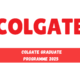 Colgate Graduate Programme 2025