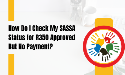 How Do I Check My SASSA Status for R350 Approved But No Payment?