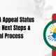 SASSA Appeal Status