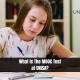 What is The MOOC Test at UNISA?