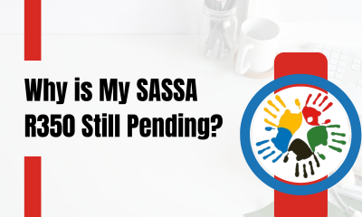 Why is My SASSA R350 Still Pending?