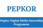 Pepkor Digital Media Internship Programme
