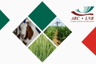2 x Agricultural Research Council (ARC) Internships 2025