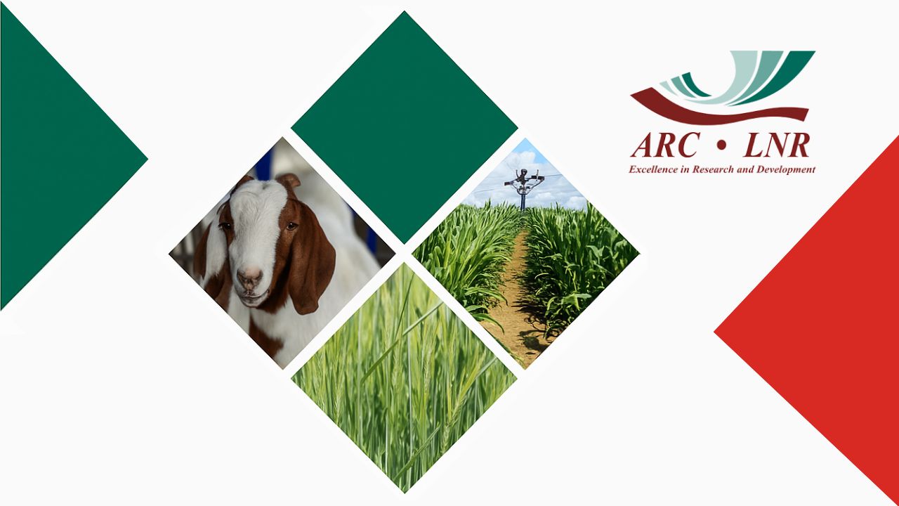 2 x Agricultural Research Council (ARC) Internships 2025