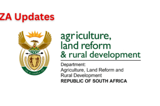 DALRRD Undergraduate Bursary Programme