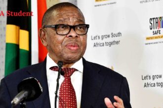 Nzimande Moves to Tackle Research Funding Crisis