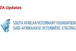 SAVF Bursary Programme