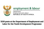 X130 posts at the Department of Employment and Labor for the Youth Development Programme