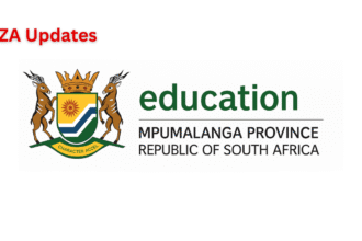 Mpumalanga Provincial Government Bursary South Africa For 2025