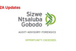 SizweNtsalubaGobodo Bursary