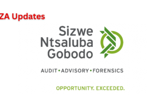 SizweNtsalubaGobodo Bursary