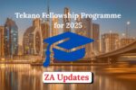 Tekano Fellowship Programme for 2025