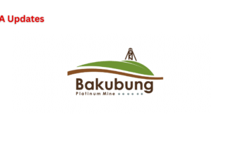 Bakubung Platinum Mine (BPM) Bursary