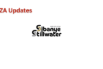 Sibanye-Stillwater Bursary